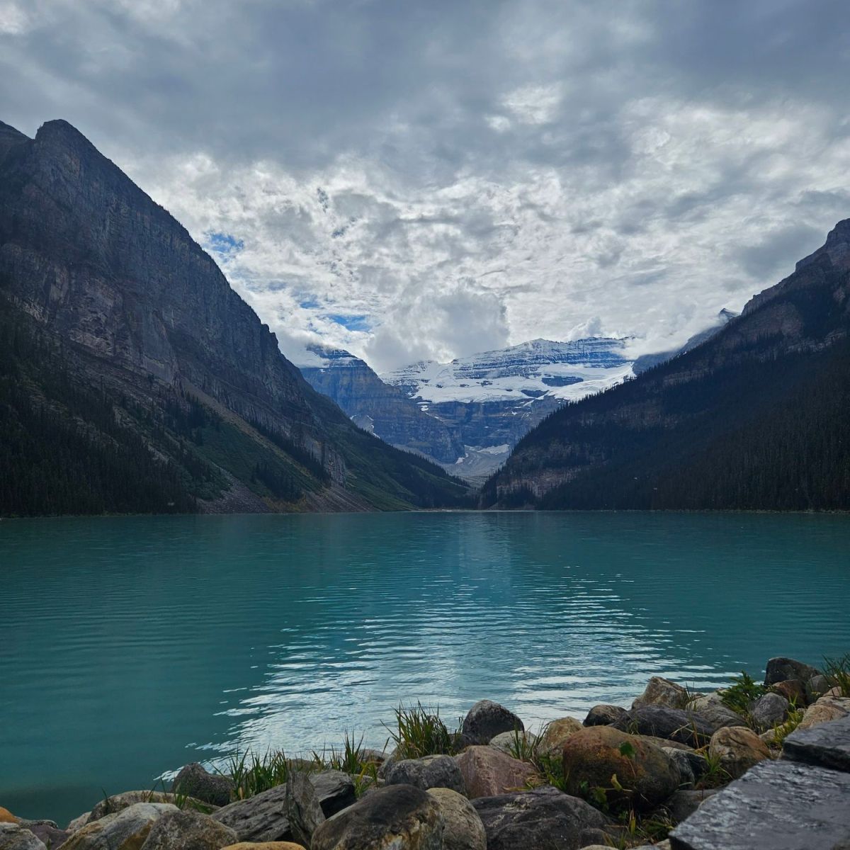 OpEd | Alberta’s immigration referendum deserves a fuller&nbsp;conversation